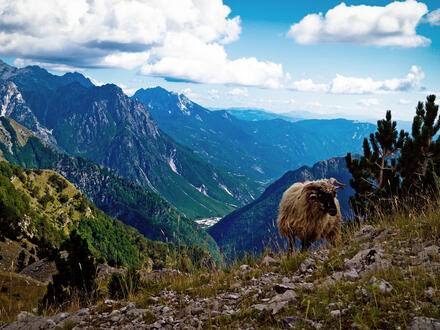 10 Tage Erlebnisreisen Albanien, Nordmazedonien & Kosovo: Einzigartige Entdeckungen im Balkan