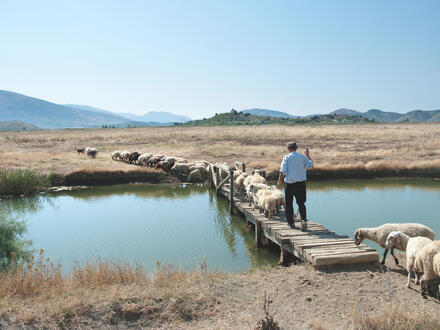 15 Tage Rundreisen Albanien: Zwischen Bergen, Meeresrauschen und Momenten fürs Herz